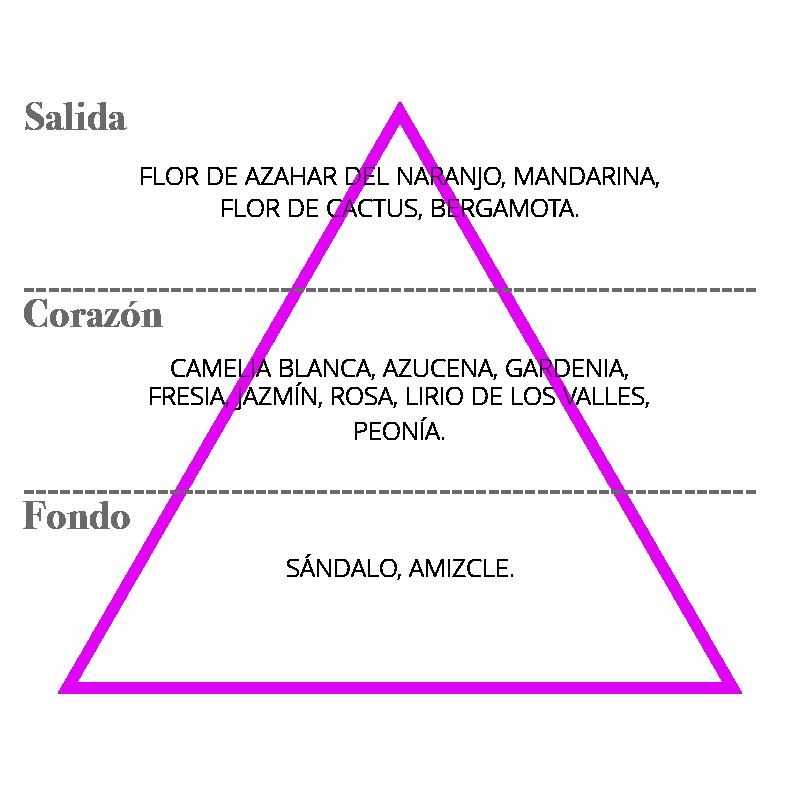 elsecreto