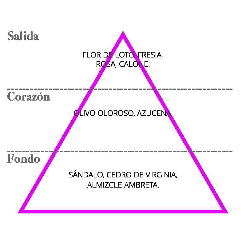 elsecreto